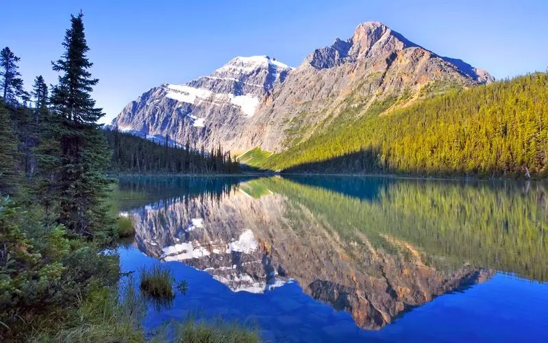 稳定性数字化网络化